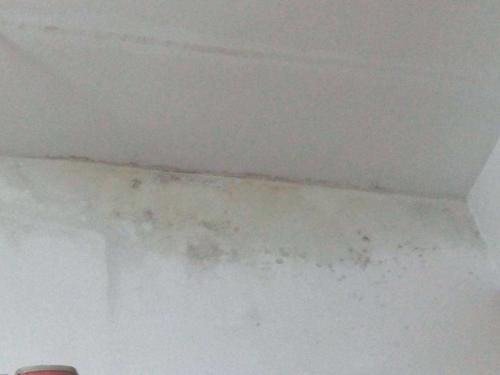 低樓層房屋墻壁出現返潮現象，有哪些解決辦法?